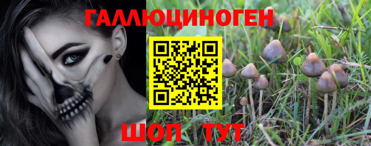 Галлюциногенные грибы мухоморы Новокубанск