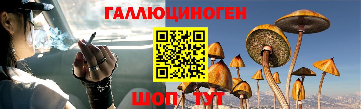 Новокубанск  Псилоцибиновые грибы GOLDEN TEACHER  Вход с VPN  Галлюциногенные грибы GOLDEN TEACHER 